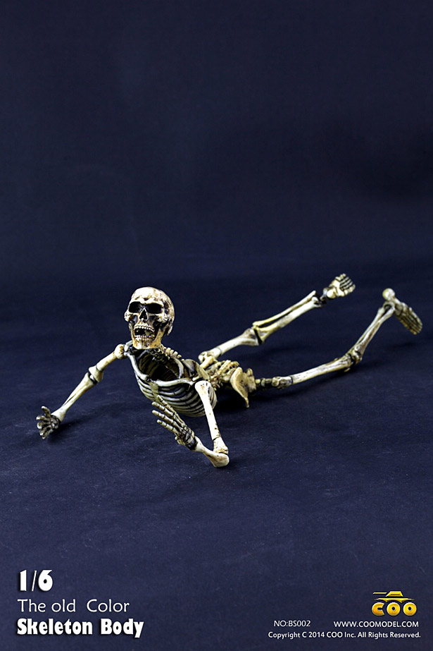 coo-skeleton08