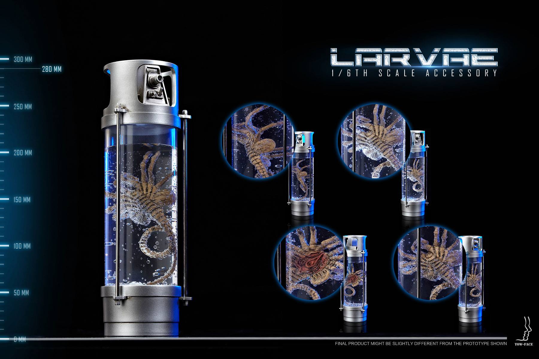 tow-Larvae004