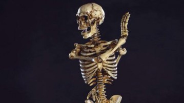 coo-skeleton2-00