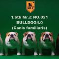mrZ-brit-bulldog00