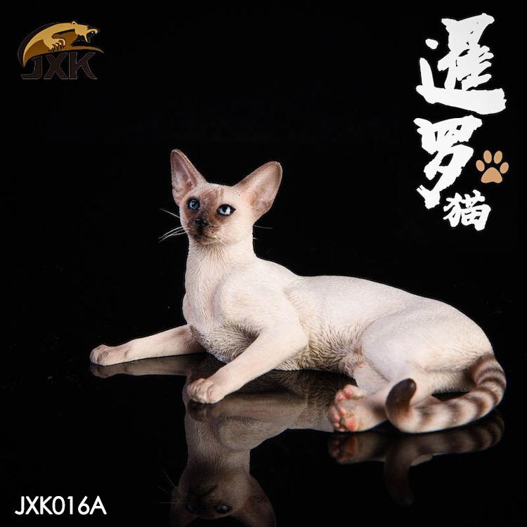 jxk-cats02