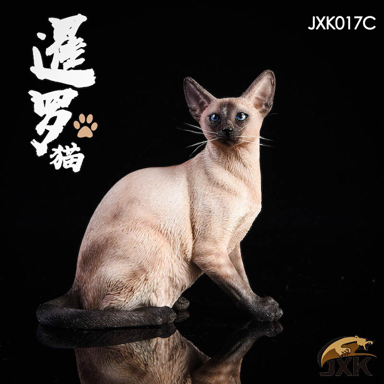 jxk-cats06