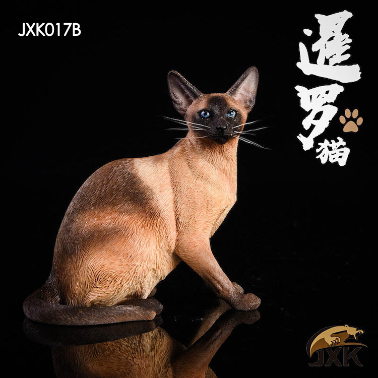 jxk-cats07