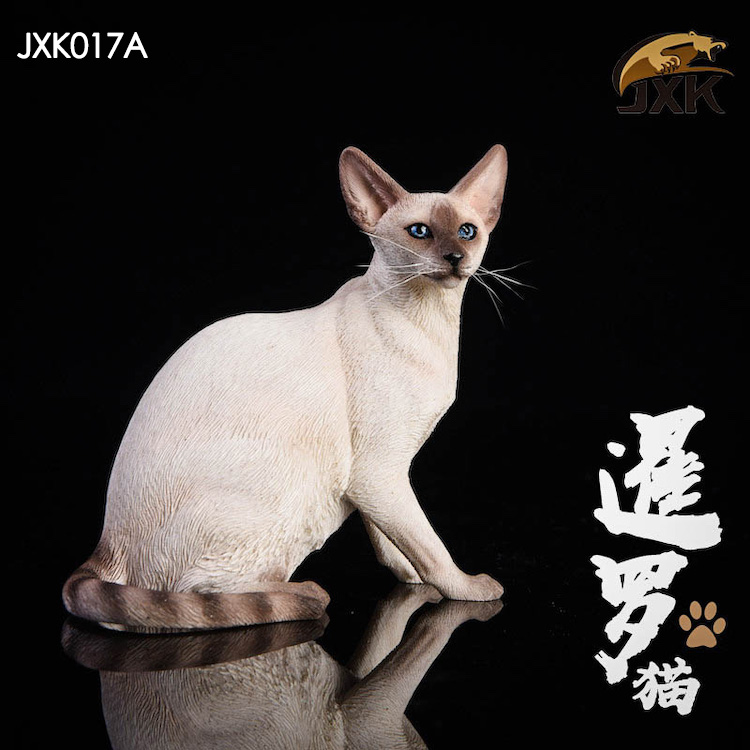 jxk-cats08