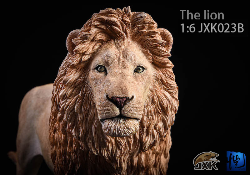 jxk-lion07