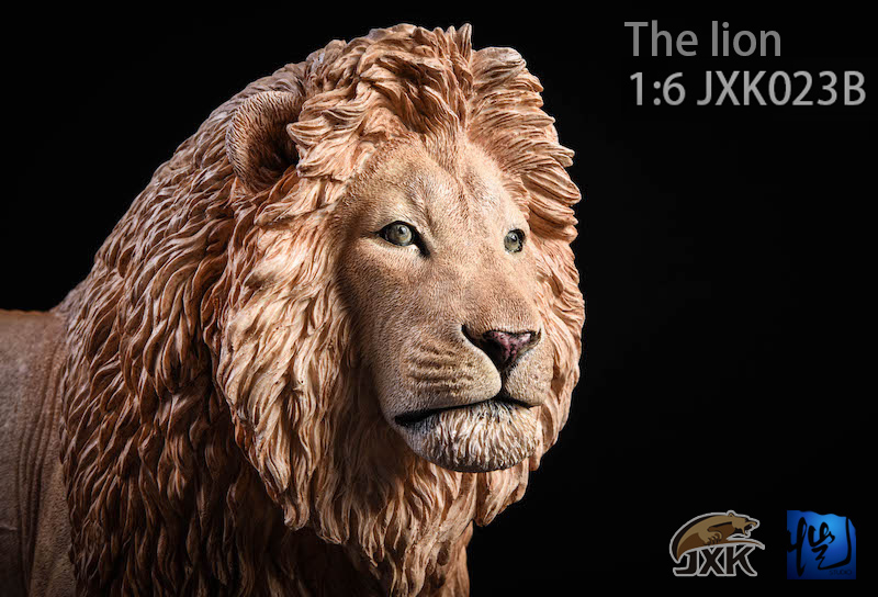 jxk-lion08