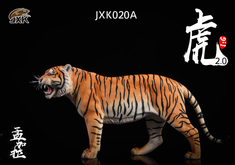 jxk-tiger01