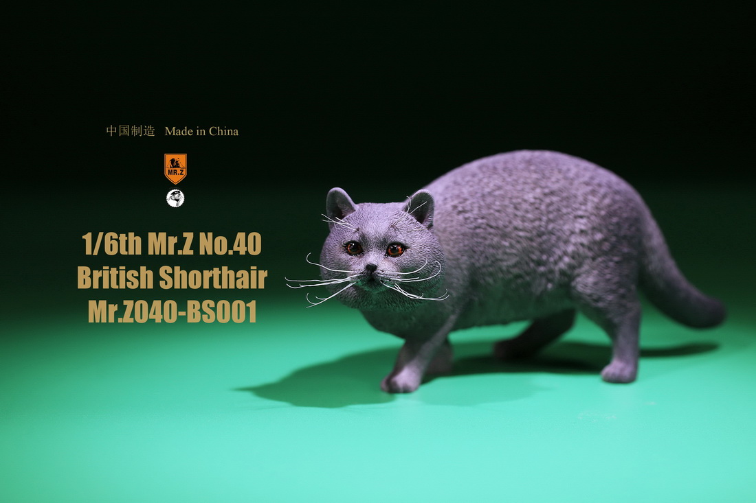 mrZ-cat-british02