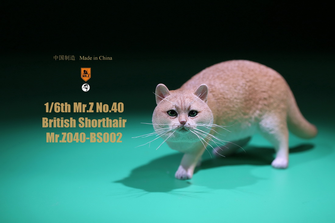 mrZ-cat-british04