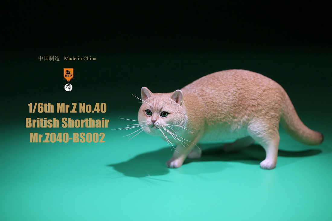 mrZ-cat-british05