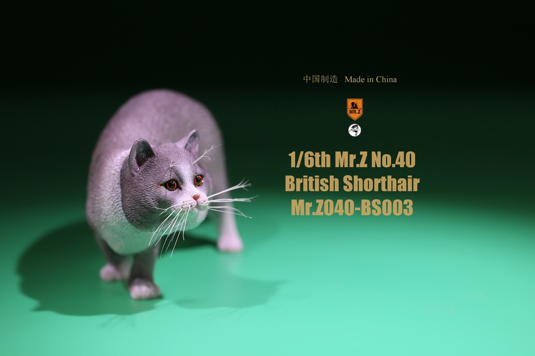 mrZ-cat-british09