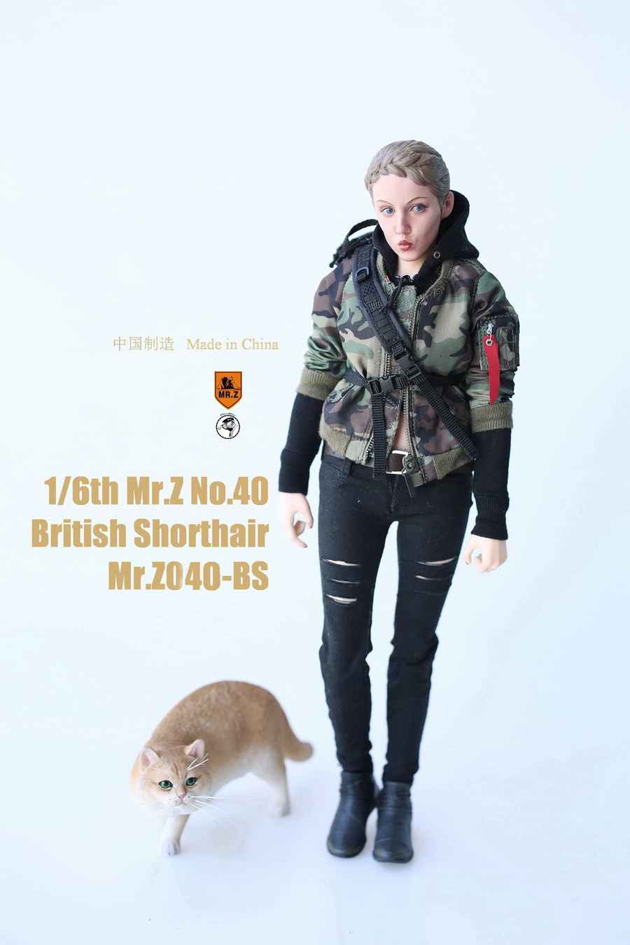 mrZ-cat-british18