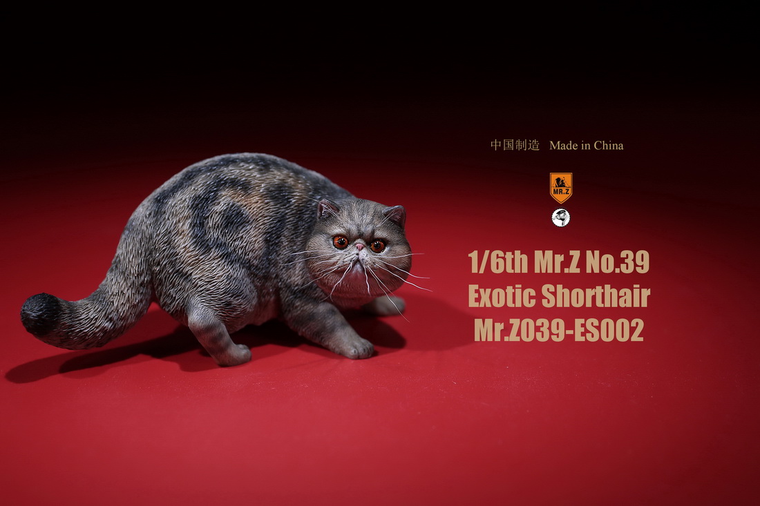 mrZ-cat-exotic04