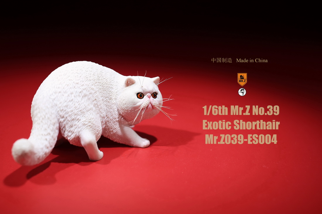 mrZ-cat-exotic08