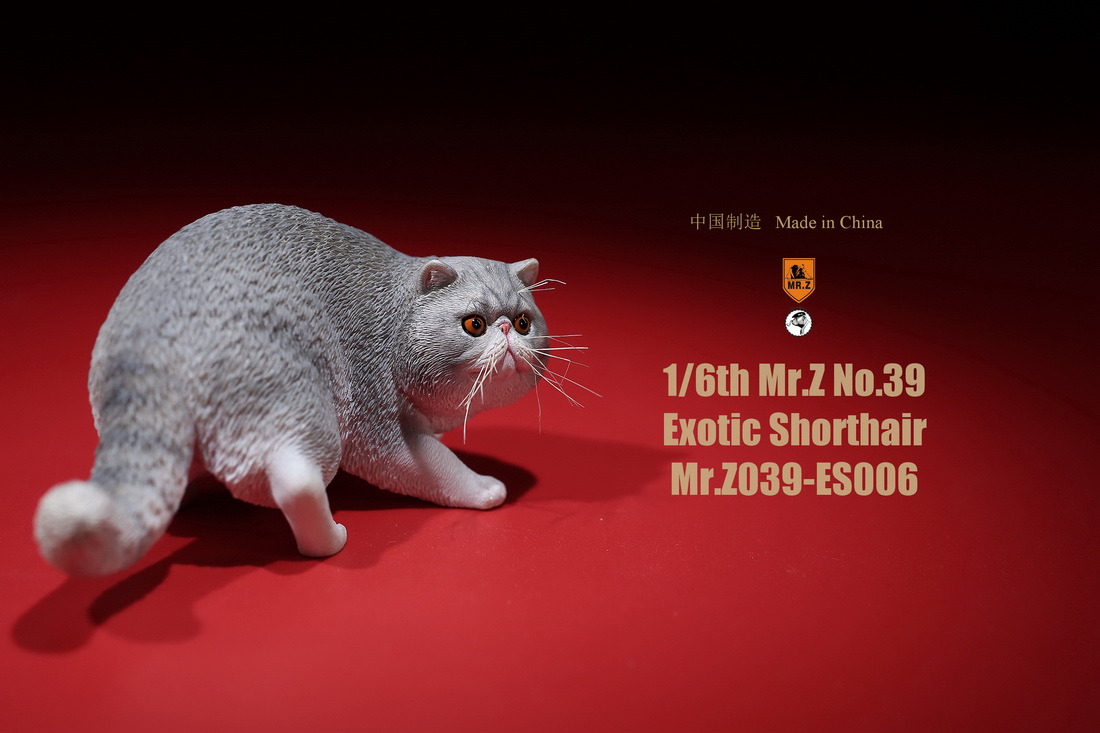 mrZ-cat-exotic12