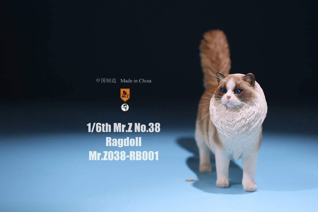 mrz-cat-ragdoll03