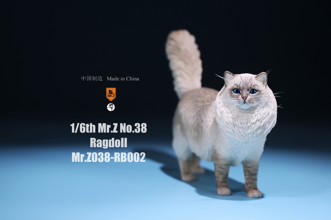 mrz-cat-ragdoll04