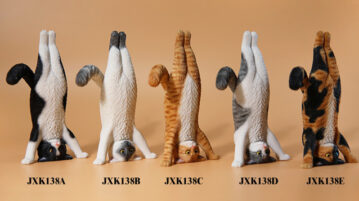 jxk-yoga-cat00