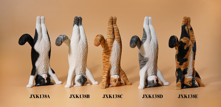 jxk-yoga-cat00